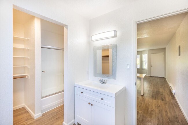 1 Bedroom 1 Bathroom floor plan
